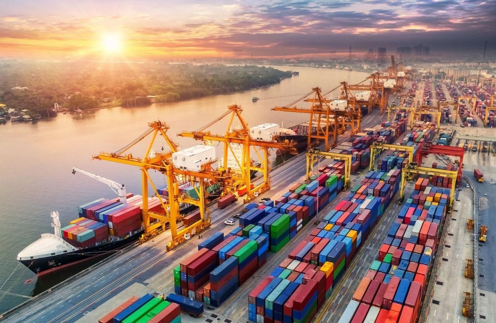 Digital Trade Infrastructure